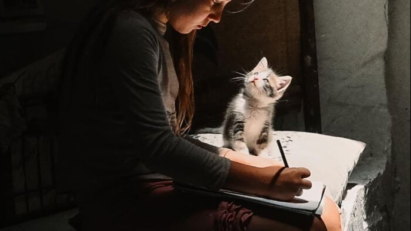 16 Times People Took Pictures Of Their Cats, Only To Realize It Was ‘Accidental Renaissance’ 16 Times People Took Pictures Of Their Cats, Only To Realize It Was ‘Accidental Renaissance’