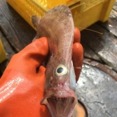 16 Truly Terrifying Photos Taken By People At Work 16 Truly Terrifying Photos Taken By People At Work