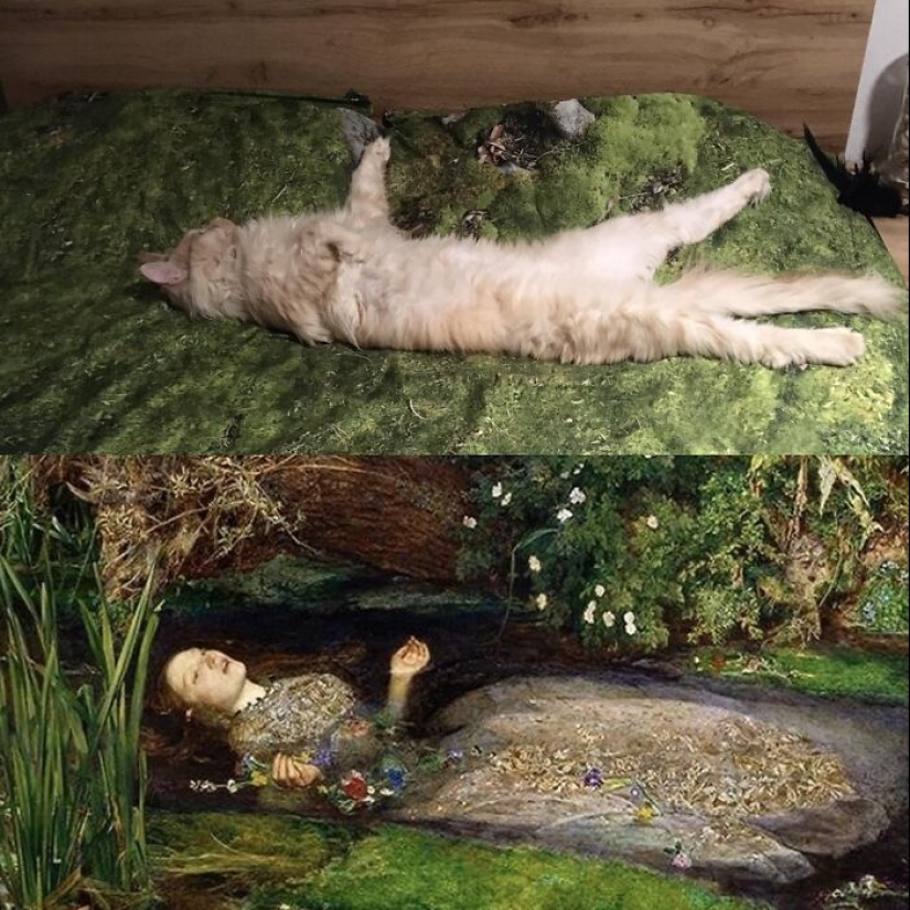 16 veces que la gente tomó fotografías de sus gatos, solo para darse cuenta de que era un 'renacimiento accidental' 16 veces que la gente tomó fotografías de sus gatos, solo para darse cuenta de que era un 'renacimiento accidental'