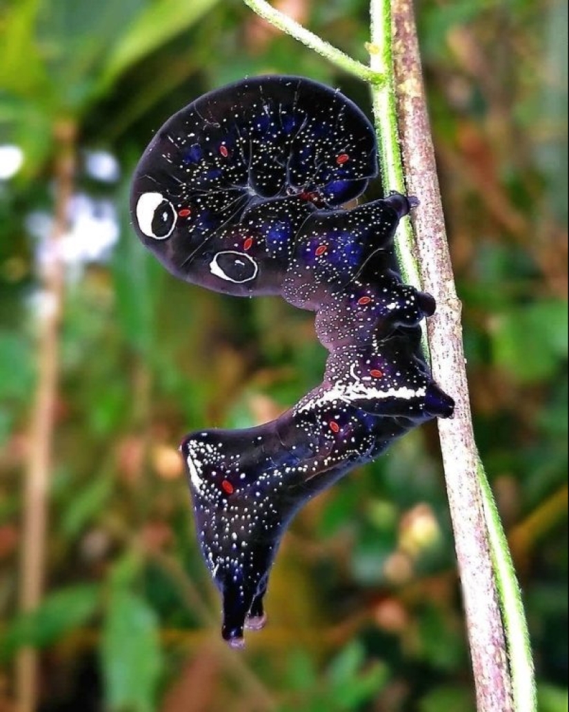17 amazing things and places that actually exist 17 amazing things and places that actually exist