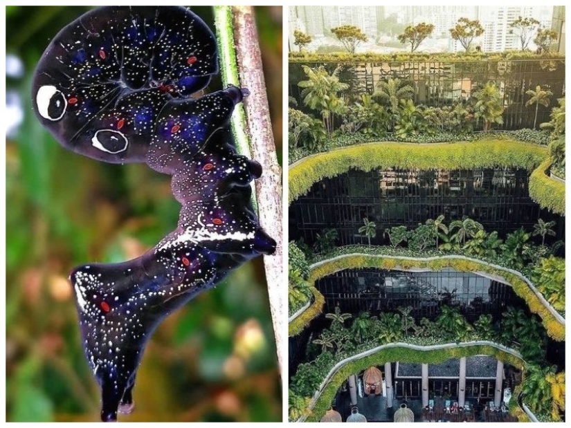 17 cosas increíbles y lugares que existen en la realidad