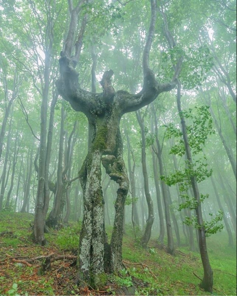 17 cosas increíbles y lugares que existen en la realidad