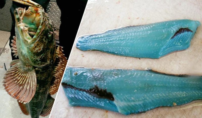 17 cosas increíbles y lugares que existen en la realidad