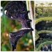 17 cosas increíbles y lugares que existen en la realidad 17 cosas increíbles y lugares que existen en la realidad