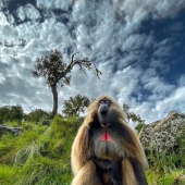 17 Incredible Shots By Indian Wildlife Photographer, Varun Aditya 17 Incredible Shots By Indian Wildlife Photographer, Varun Aditya
