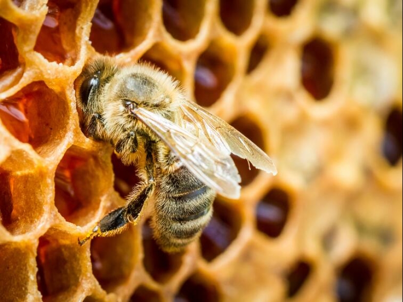 17 interesting facts about everything in the world that will instantly make your horizons wider 17 interesting facts about everything in the world that will instantly make your horizons wider