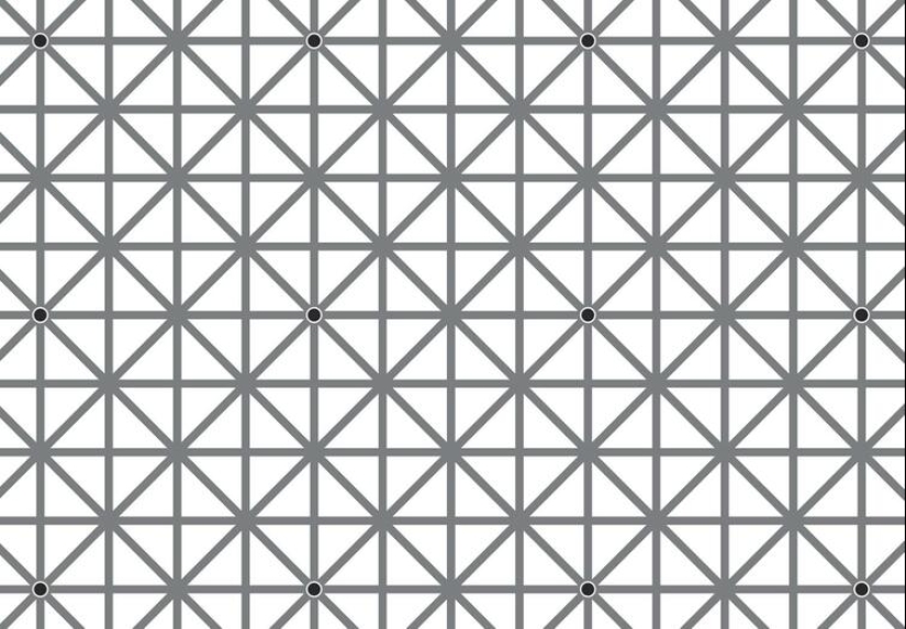 17 interesting facts about everything in the world that will instantly make your horizons wider 17 interesting facts about everything in the world that will instantly make your horizons wider