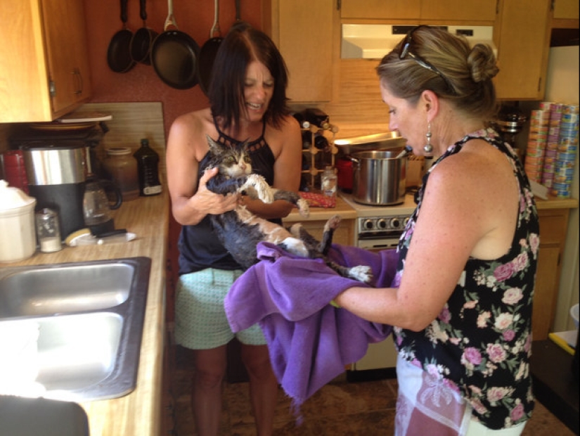 17 photos of very cool moms 17 photos of very cool moms