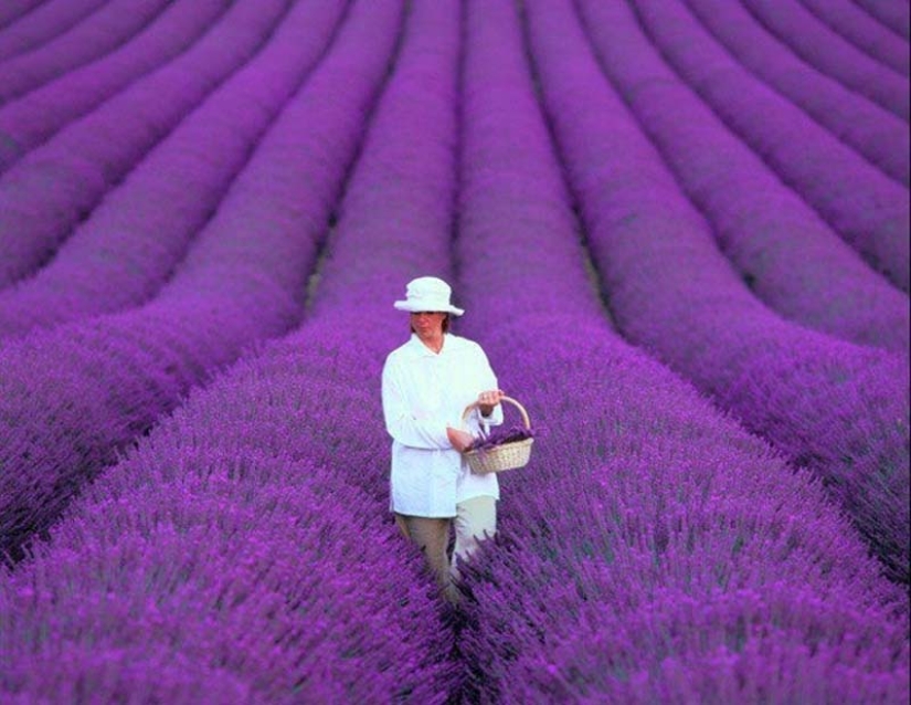 17 places worth seeing before you die