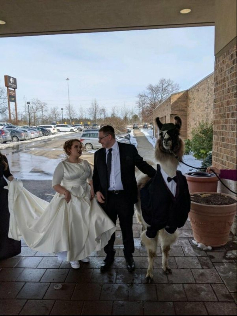 18 photos in which something strange is going on