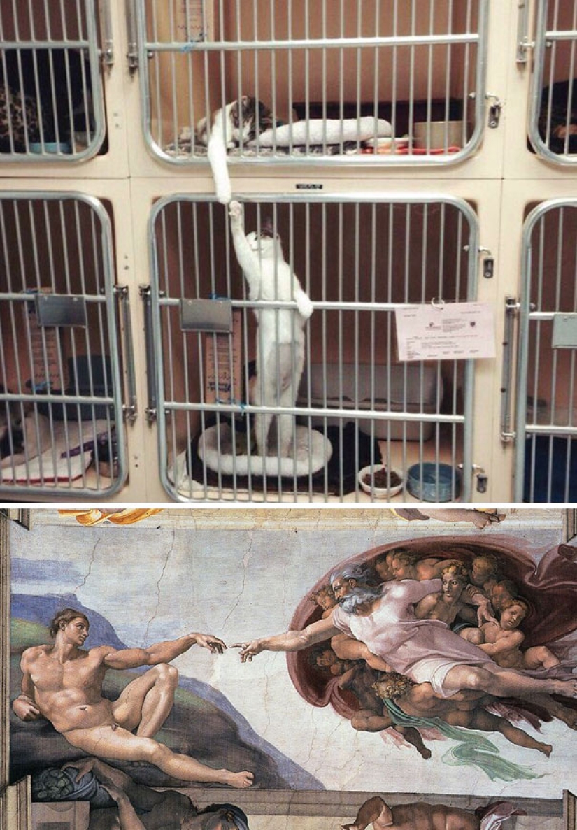 18 photos where life imitates art, and not the other way around 18 photos where life imitates art, and not the other way around