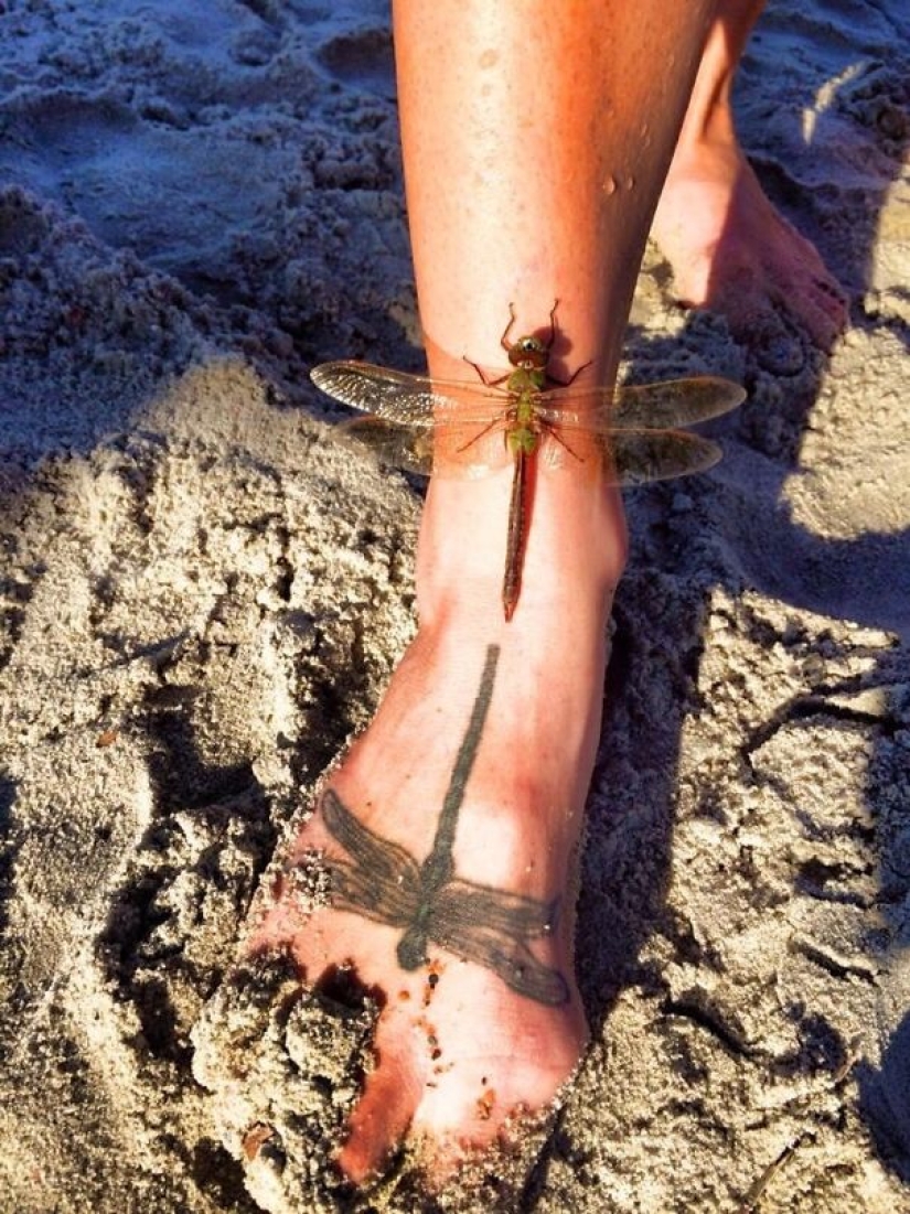 18 photos where life imitates art, and not the other way around 18 photos where life imitates art, and not the other way around
