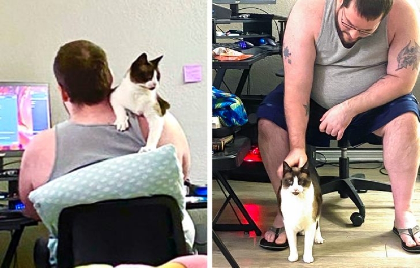 19 amantes de los gatos que saben llevarse bien con sus mascotas