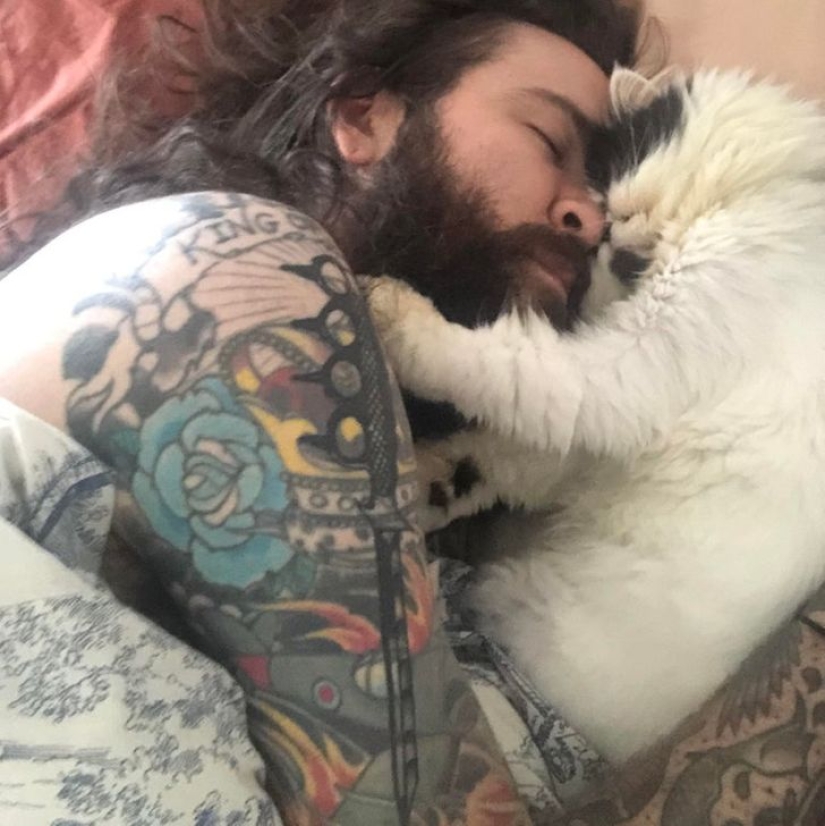 19 amantes de los gatos que saben llevarse bien con sus mascotas