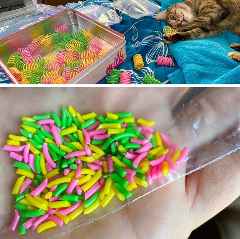 19 amantes de los gatos que saben llevarse bien con sus mascotas