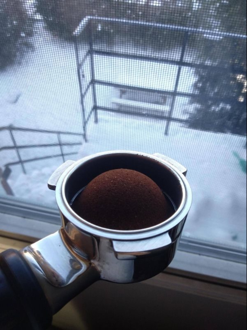 19 perfect photos that will bring visual enjoyment