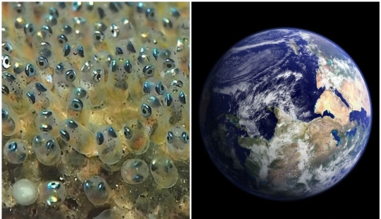 20+ amazing facts about everything that expand horizons