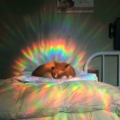 20 Beautiful Pictures Of ‘Art’ That Happened Completely By Accident 20 Beautiful Pictures Of ‘Art’ That Happened Completely By Accident