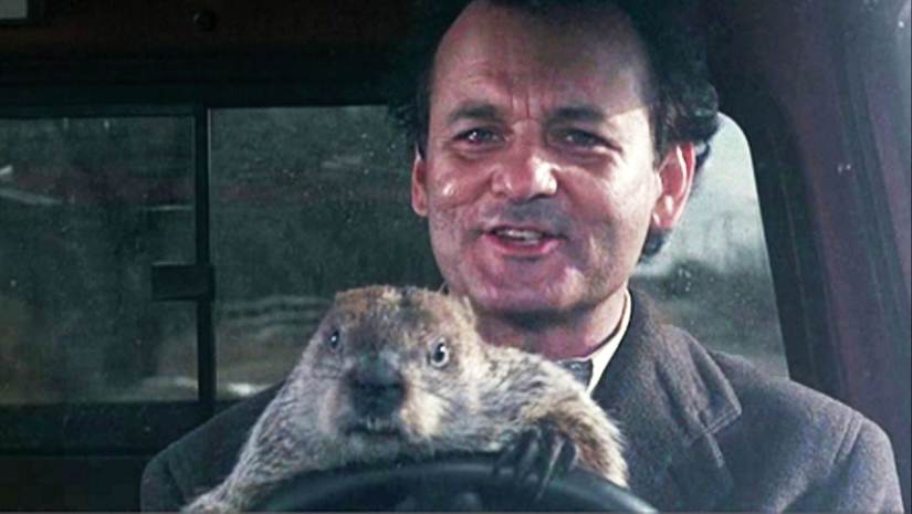 20 comedies for cold nights 20 comedies for cold nights
