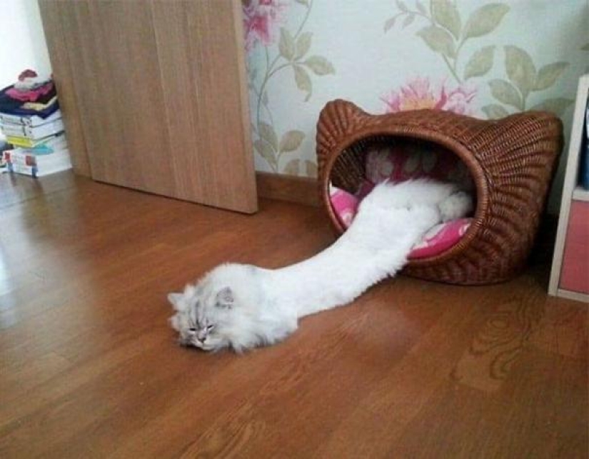 20 fotos de la serie " Gracias a Dios, parecía..." 20 fotos de la serie " Gracias a Dios, parecía..."