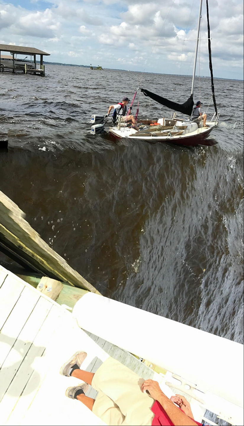 20 hermosas imágenes de “arte” que surgieron completamente por accidente