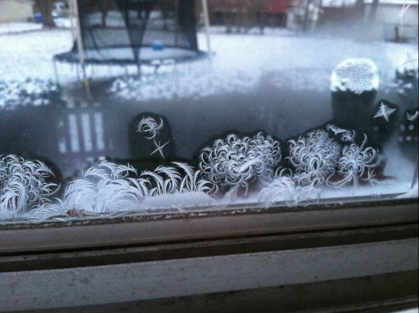 20 hermosas imágenes de “arte” que surgieron completamente por accidente