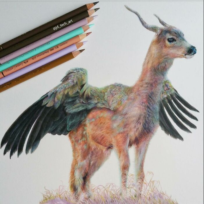 20 increíbles dibujos hiperrealistas hechos a lápiz por Joshua Dansby 20 increíbles dibujos hiperrealistas hechos a lápiz por Joshua Dansby