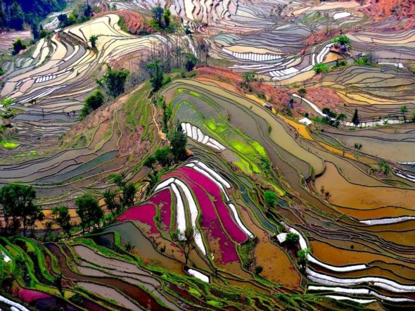 20 lugares del planeta donde la naturaleza no ha escatimado colores 20 lugares del planeta donde la naturaleza no ha escatimado colores