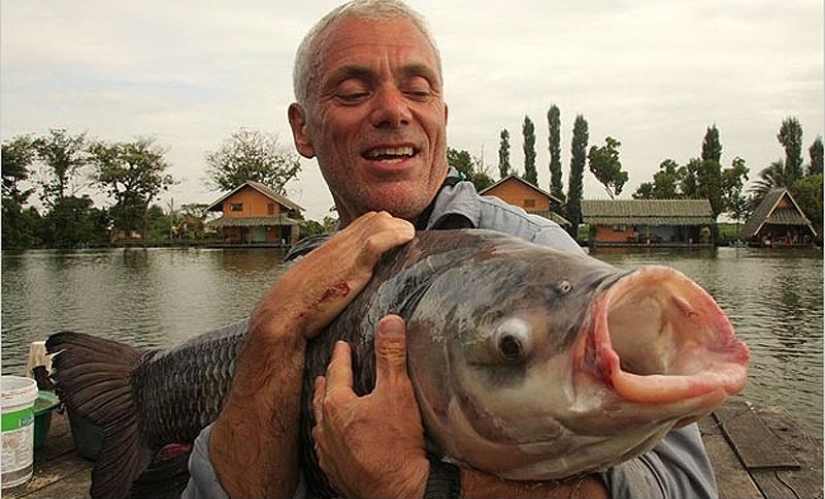 20 most amazing river monsters 20 most amazing river monsters