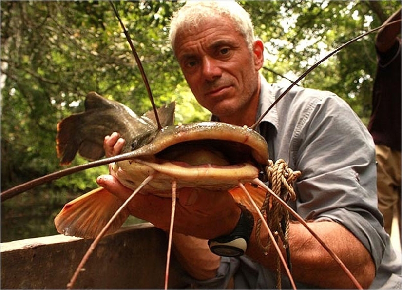 20 most amazing river monsters 20 most amazing river monsters