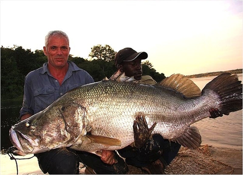 20 most amazing river monsters 20 most amazing river monsters