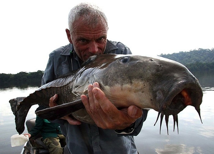 20 most amazing river monsters 20 most amazing river monsters