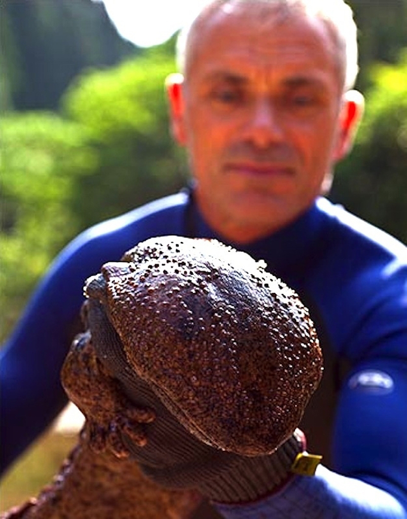 20 most amazing river monsters 20 most amazing river monsters