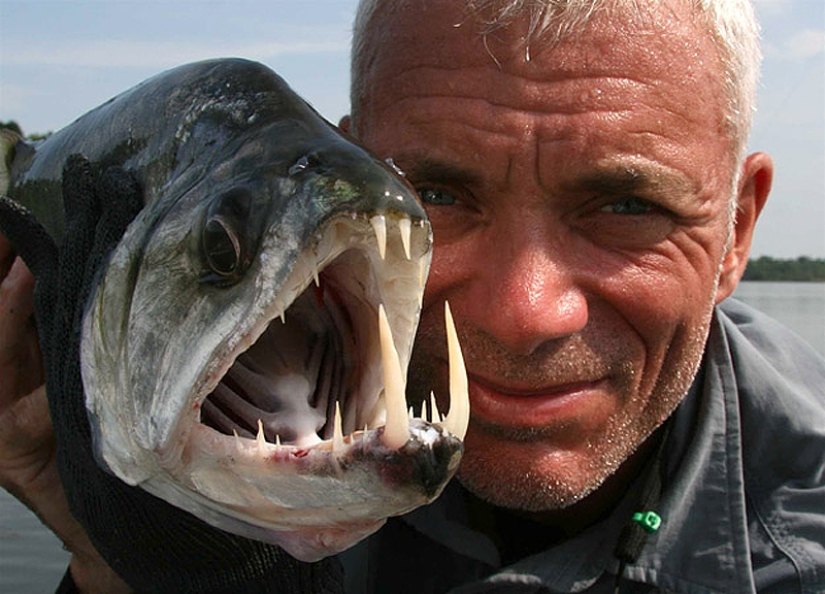 20 most amazing river monsters 20 most amazing river monsters