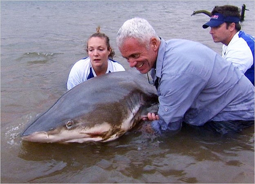 20 most amazing river monsters 20 most amazing river monsters