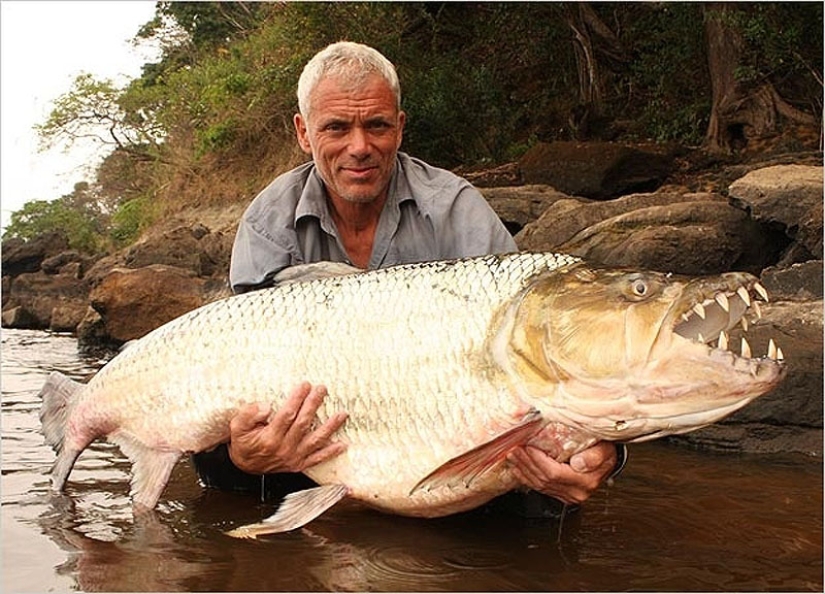 20 most amazing river monsters 20 most amazing river monsters