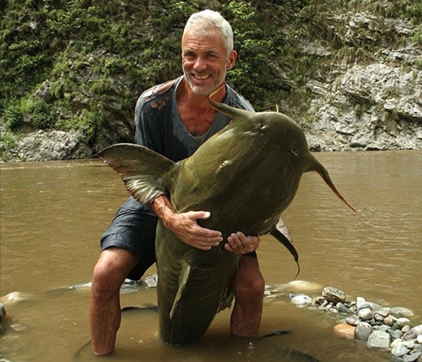 20 most amazing river monsters 20 most amazing river monsters