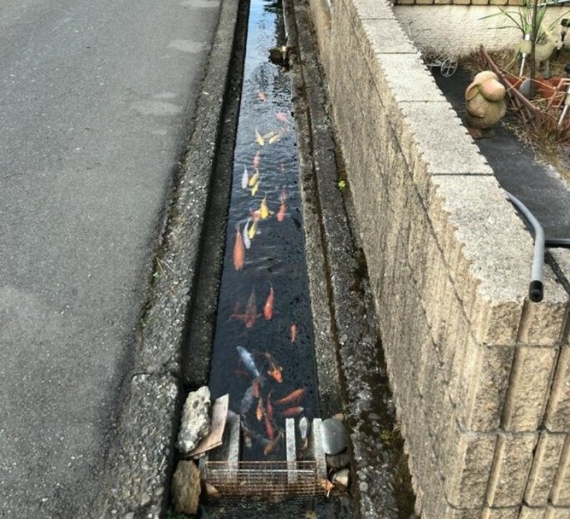 20 oddities that surprise foreigners in Japan 20 oddities that surprise foreigners in Japan