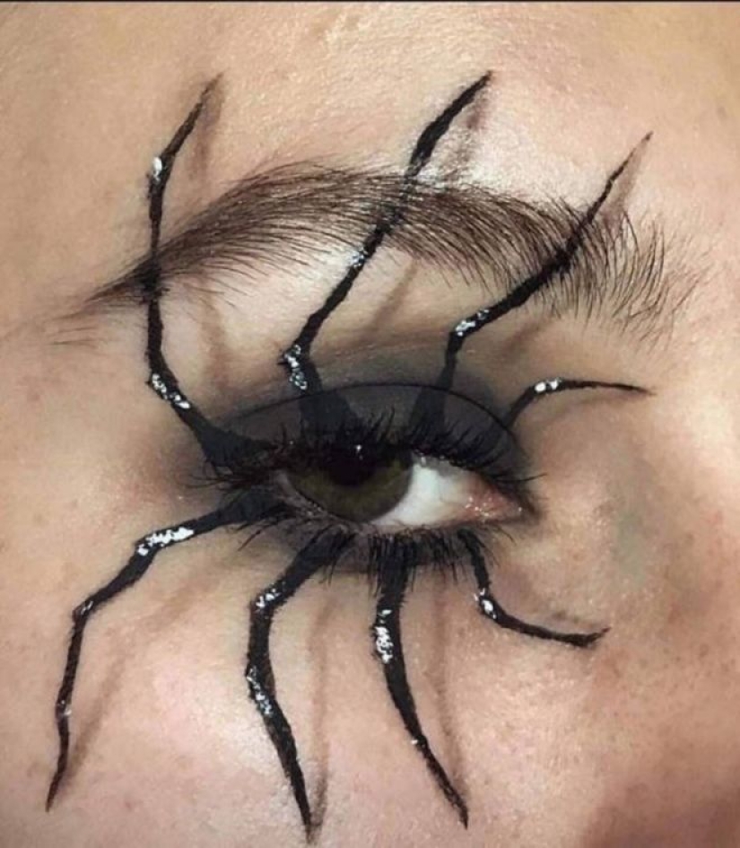 20 photo with a huge spider, from which arachnophobe be horrified 20 photo with a huge spider, from which arachnophobe be horrified