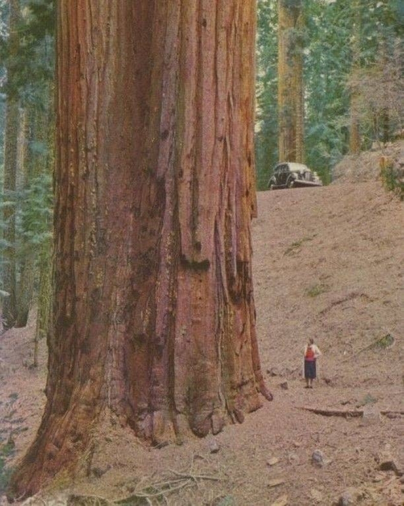 20 pictures that give an idea about the real sizes of some things 20 pictures that give an idea about the real sizes of some things