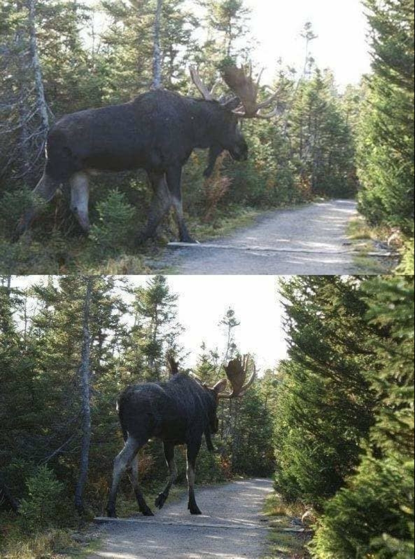 20 pictures that give an idea about the real sizes of some things 20 pictures that give an idea about the real sizes of some things