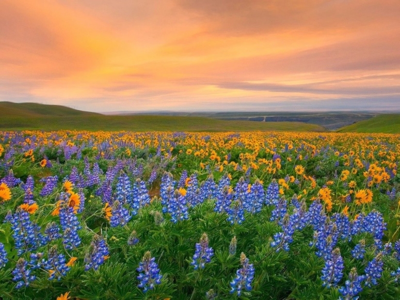 20 places on the planet where nature has spared no colors 20 places on the planet where nature has spared no colors