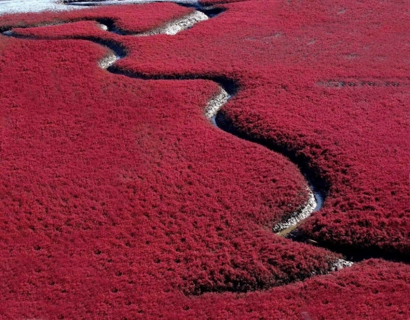 20 places on the planet where nature has spared no colors 20 places on the planet where nature has spared no colors