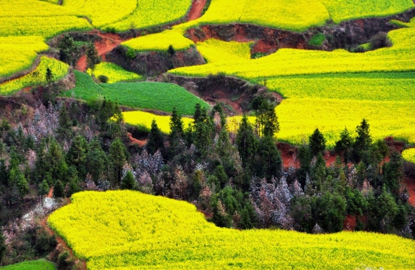20 places on the planet where nature has spared no colors 20 places on the planet where nature has spared no colors