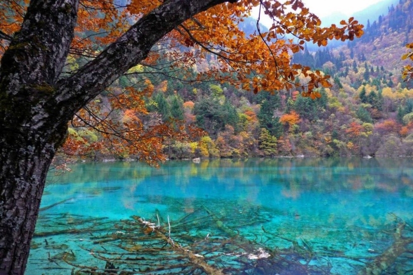 20 places on the planet where nature has spared no colors 20 places on the planet where nature has spared no colors