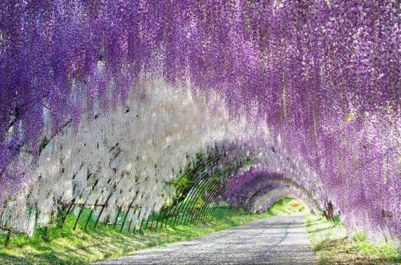20 places on the planet where nature has spared no colors 20 places on the planet where nature has spared no colors