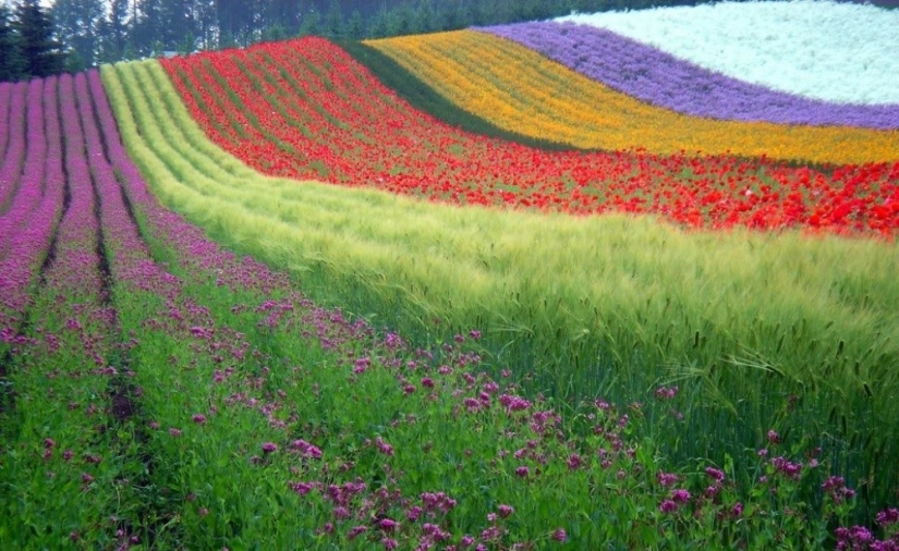 20 places on the planet where nature has spared no colors 20 places on the planet where nature has spared no colors