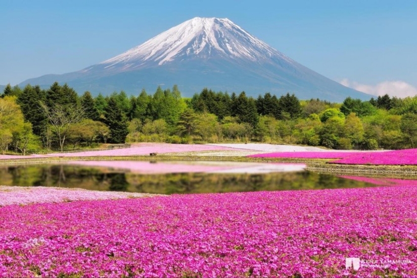 20 places on the planet where nature has spared no colors 20 places on the planet where nature has spared no colors