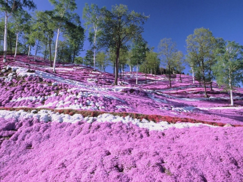 20 places on the planet where nature has spared no colors 20 places on the planet where nature has spared no colors