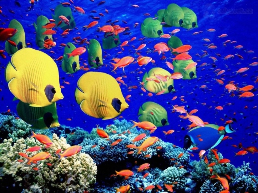 20 places on the planet where nature has spared no colors 20 places on the planet where nature has spared no colors